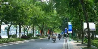 Xác định diện tích cây xanh sử dụng công cộng trong đô thị